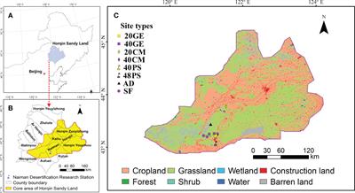 Grazing exclusion is more beneficial for restoring soil organic carbon and nutrient balance than afforestation on degraded sandy land